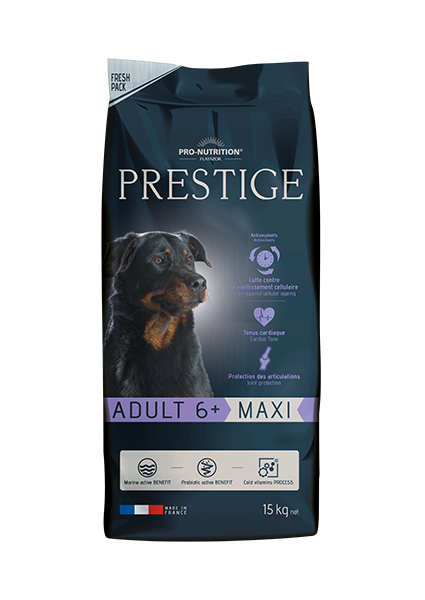 Prestige Adult 6+ Maxi