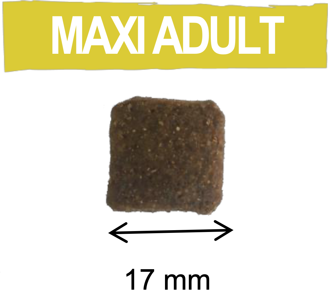 Pure Life Adult Maxi