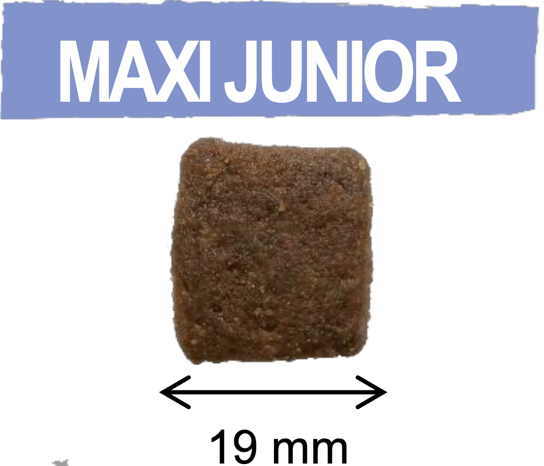 Pure Life Junior Maxi